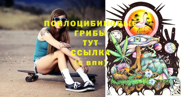 бутират Алзамай