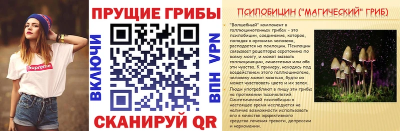 Галлюциногенные грибы Cubensis  Краснотурьинск 