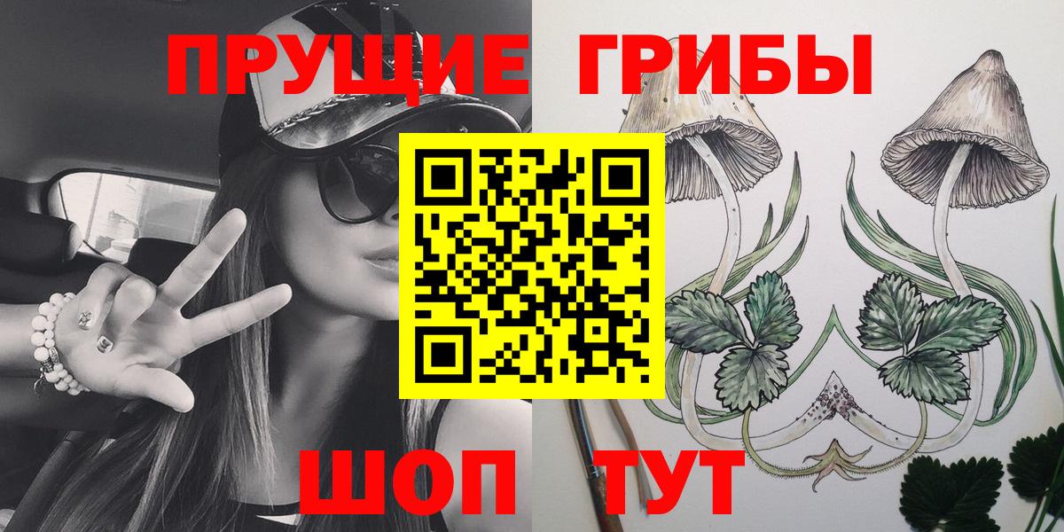 Галлюциногенные грибы Psilocybine cubensis  Вход с VPN  Краснотурьинск 